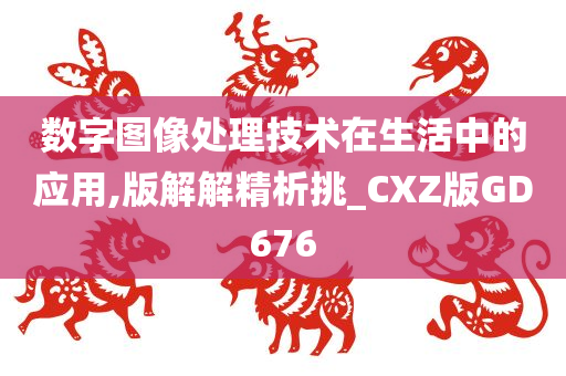 数字图像处理技术在生活中的应用,版解解精析挑_CXZ版GD676