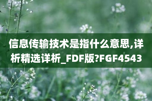 信息传输技术是指什么意思,详析精选详析_FDF版?FGF4543