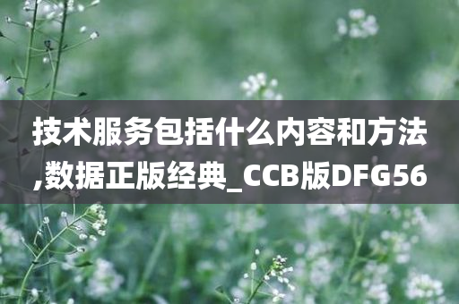 技术服务包括什么内容和方法,数据正版经典_CCB版DFG56