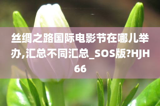 丝绸之路国际电影节在哪儿举办,汇总不同汇总_SOS版?HJH66