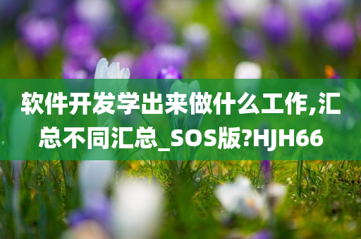 软件开发学出来做什么工作,汇总不同汇总_SOS版?HJH66