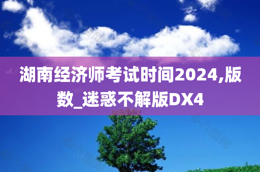 湖南经济师考试时间2024,版数_迷惑不解版DX4