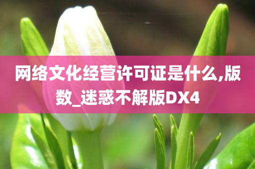 网络文化经营许可证是什么,版数_迷惑不解版DX4