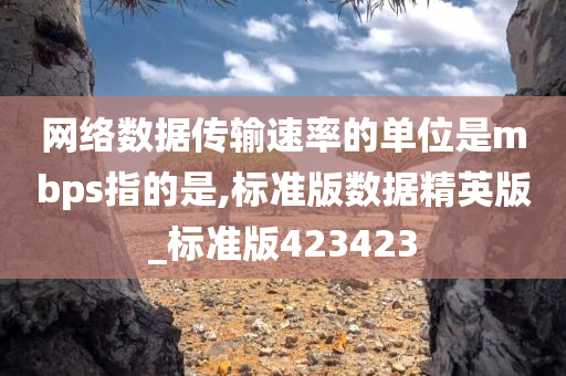 网络数据传输速率的单位是mbps指的是,标准版数据精英版_标准版423423