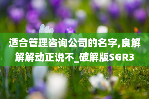 适合管理咨询公司的名字,良解解解动正说不_破解版SGR3