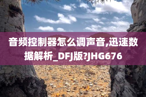 音频控制器怎么调声音,迅速数据解析_DFJ版?JHG676