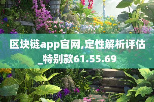 区块链app官网,定性解析评估_特别款61.55.69