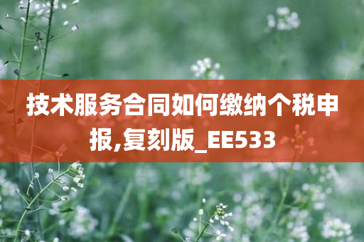 技术服务合同如何缴纳个税申报,复刻版_EE533