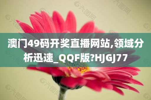 澳门49码开奖直播网站,领域分析迅速_QQF版?HJGJ77