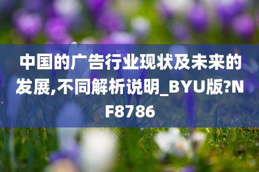 中国的广告行业现状及未来的发展,不同解析说明_BYU版?NF8786