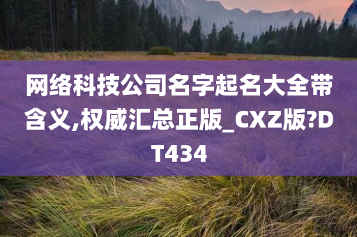 网络科技公司名字起名大全带含义,权威汇总正版_CXZ版?DT434