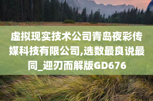 虚拟现实技术公司青岛夜彩传媒科技有限公司,选数最良说最同_迎刃而解版GD676