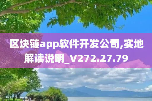 区块链app软件开发公司,实地解读说明_V272.27.79