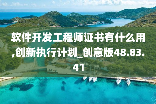 软件开发工程师证书有什么用,创新执行计划_创意版48.83.41