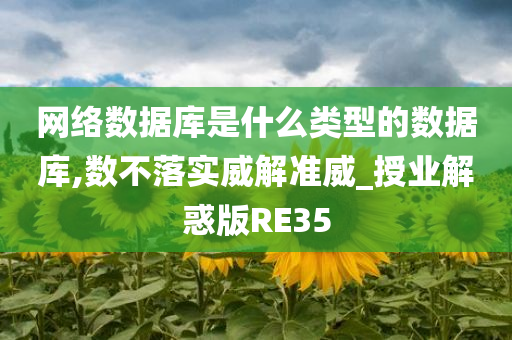 网络数据库是什么类型的数据库,数不落实威解准威_授业解惑版RE35