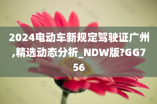 2024电动车新规定驾驶证广州,精选动态分析_NDW版?GG756