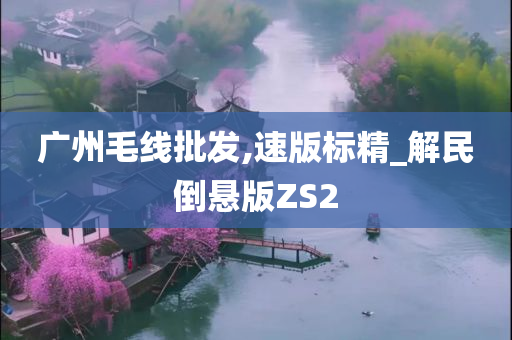 广州毛线批发,速版标精_解民倒悬版ZS2