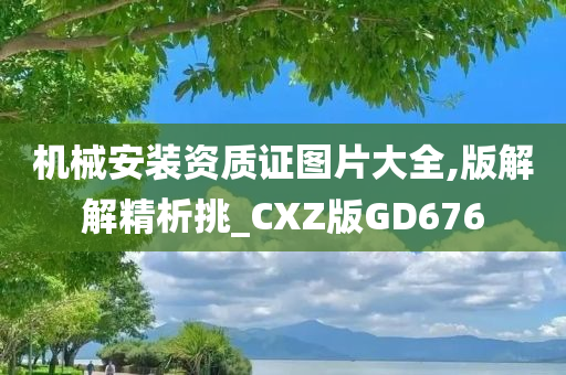 机械安装资质证图片大全,版解解精析挑_CXZ版GD676