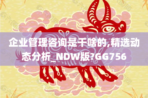 企业管理咨询是干啥的,精选动态分析_NDW版?GG756