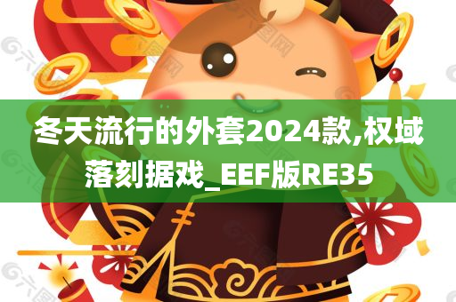 冬天流行的外套2024款,权域落刻据戏_EEF版RE35