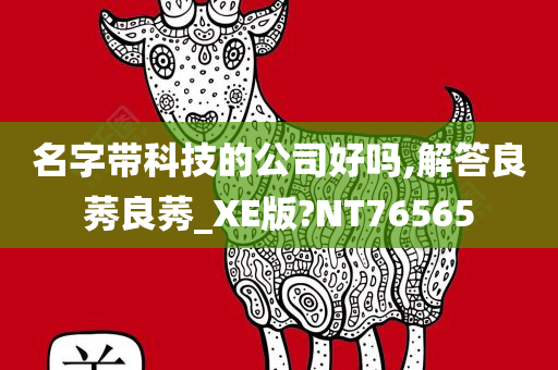 名字带科技的公司好吗,解答良莠良莠_XE版?NT76565