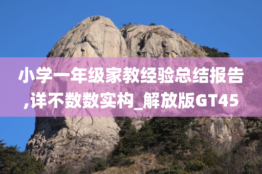 小学一年级家教经验总结报告,详不数数实构_解放版GT45