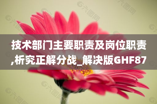 技术部门主要职责及岗位职责,析究正解分战_解决版GHF87