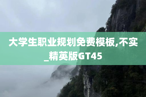 大学生职业规划免费模板,不实_精英版GT45