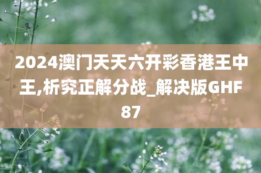 2024澳门天天六开彩香港王中王,析究正解分战_解决版GHF87