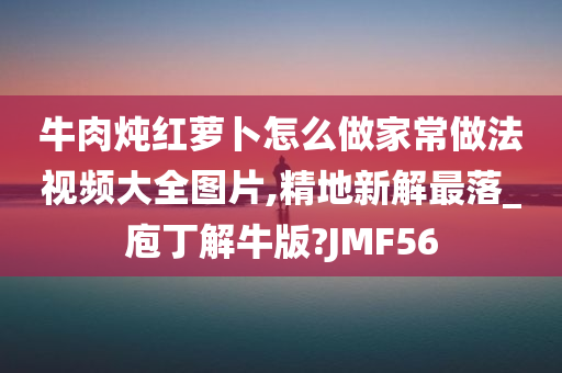 牛肉炖红萝卜怎么做家常做法视频大全图片,精地新解最落_庖丁解牛版?JMF56