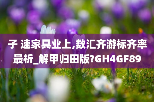 子 速家具业上,数汇齐游标齐率最析_解甲归田版?GH4GF89