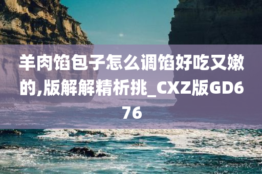 羊肉馅包子怎么调馅好吃又嫩的,版解解精析挑_CXZ版GD676