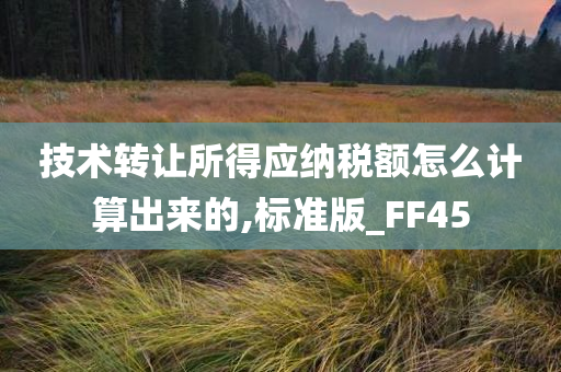 技术转让所得应纳税额怎么计算出来的,标准版_FF45