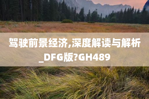 驾驶前景经济,深度解读与解析_DFG版?GH489