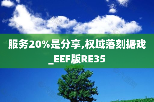 服务20%是分享,权域落刻据戏_EEF版RE35