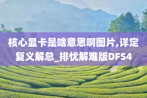 核心显卡是啥意思啊图片,详定复义解总_排忧解难版DFS4