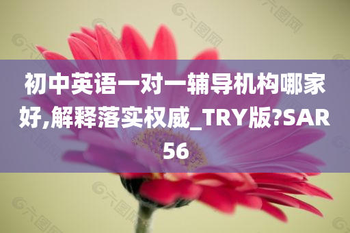 初中英语一对一辅导机构哪家好,解释落实权威_TRY版?SAR56