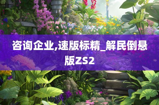 咨询企业,速版标精_解民倒悬版ZS2