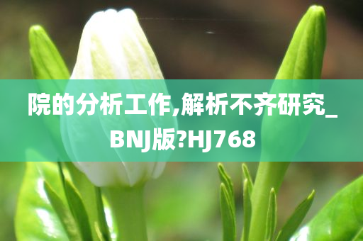 院的分析工作,解析不齐研究_BNJ版?HJ768