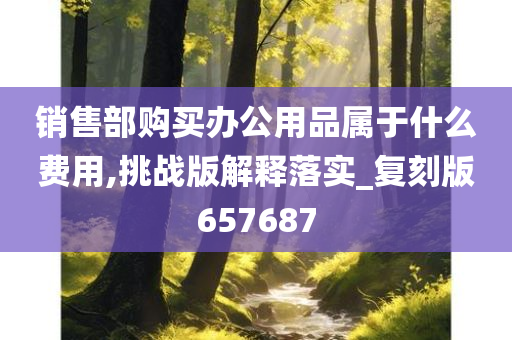 销售部购买办公用品属于什么费用,挑战版解释落实_复刻版657687