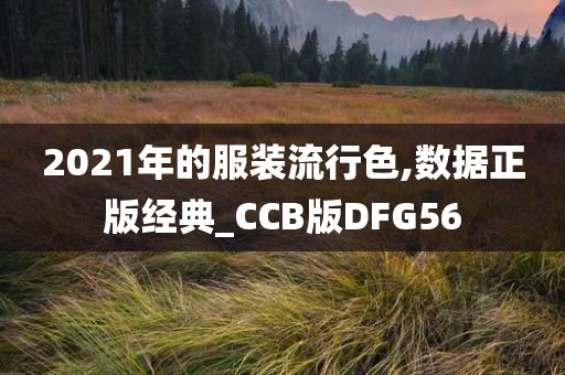 2021年的服装流行色,数据正版经典_CCB版DFG56