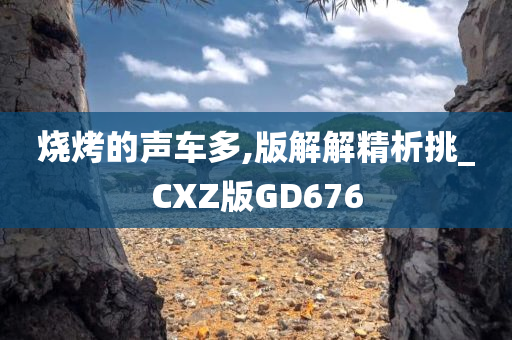 烧烤的声车多,版解解精析挑_CXZ版GD676