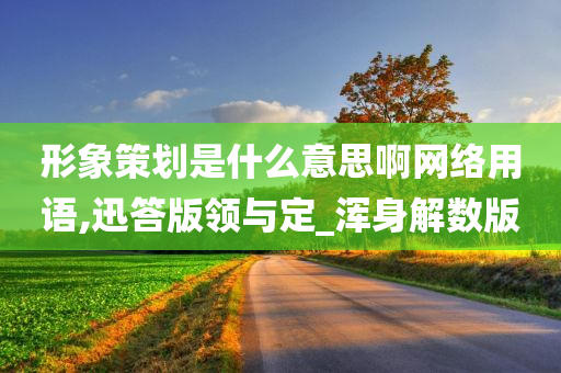 形象策划是什么意思啊网络用语,迅答版领与定_浑身解数版