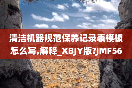 清洁机器规范保养记录表模板怎么写,解释_XBJY版?JMF56