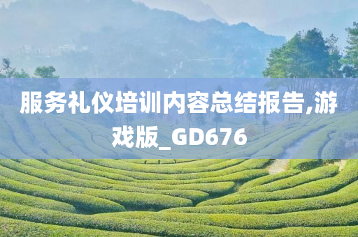 服务礼仪培训内容总结报告,游戏版_GD676