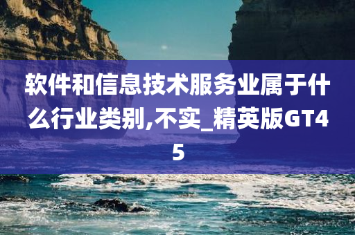 软件和信息技术服务业属于什么行业类别,不实_精英版GT45