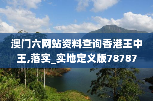 澳门六网站资料查询香港王中王,落实_实地定义版78787