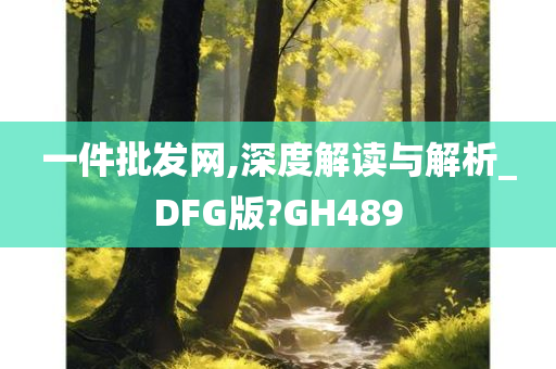 一件批发网,深度解读与解析_DFG版?GH489