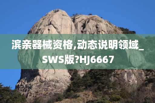 滨亲器械资格,动态说明领域_SWS版?HJ6667