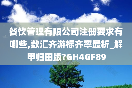 餐饮管理有限公司注册要求有哪些,数汇齐游标齐率最析_解甲归田版?GH4GF89